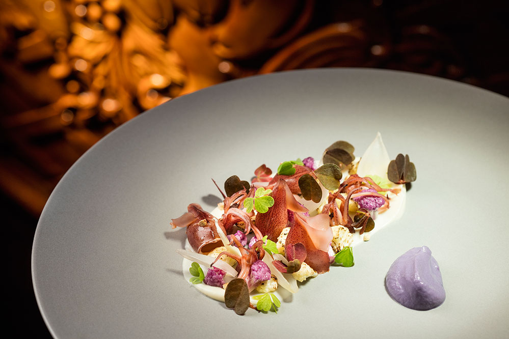 Japanese baby squid, cauliflower rainbow and purple cabbage